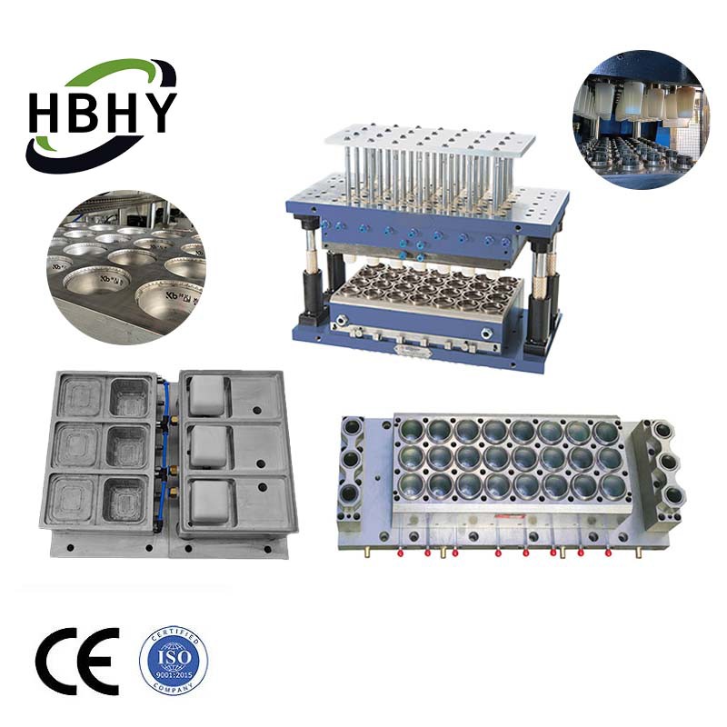 Plastic Forming Mould